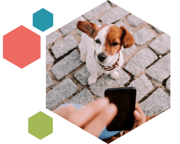 About us – DIG labs
